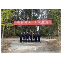 凤凰森林公安扎实开展巡山护林行动  筑牢生态安全屏障
