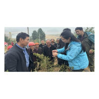 凤凰县：大力推进专家人才“传帮带”工作侧记