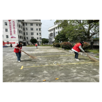 凤凰县新场镇：加强人居环境整治  助力优化营商环境
