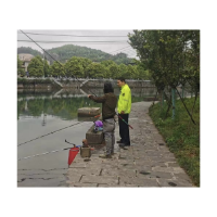 凤凰城管：开展城区“三大行动”，开启环境“美颜模式”
