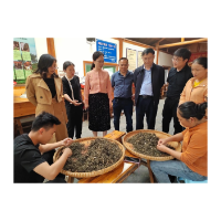 州县科技联动：开展培育和发展新质生产力调研  助力营商环境优化