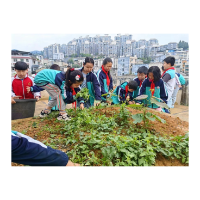 凤凰县箭道坪第二小学：劳动淬炼成长