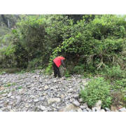 凤凰县山江镇：清理河湖垃圾，守护碧水清流