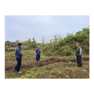 凤凰县两林乡助农春耕促生产   乡村振兴添动力