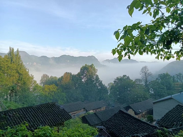 图片6.jpg