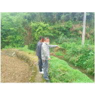 凤凰县水打田乡成功化解一起电线杆施工纠纷