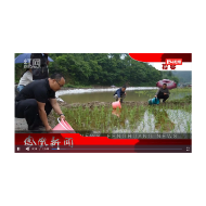 2024年06月13日湖南凤凰新闻