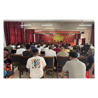 凤凰县廖家桥镇召开2024年关于群众身边不正之风和腐败问题集中整治推进会