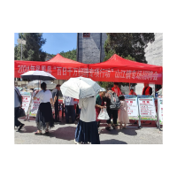 “百日千万招聘专项行动”招聘会在凤凰县山江镇举办