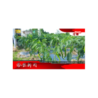 2024年07月19日湖南凤凰新闻
