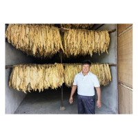 凤凰县：新能源烘烤技术让烟叶发展“底色”更绿