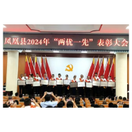 凤凰县市监局荣获“凤凰县先进基层党组织”荣誉称号