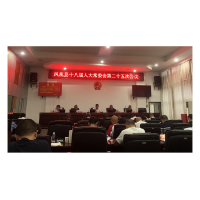凤凰县审计局向县人大常委会报告2023年度县本级预算执行审计情况