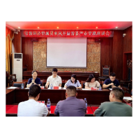 省级科技特派员龙红萍等药学专家组团服务凤凰民族医药产业  