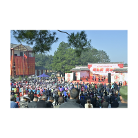 一场“农文旅”融合的生动实践——凤凰县腊尔山台地第三届“迎重阳 庆丰收”文化节侧记