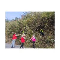 凤凰县木江坪镇:党群同心齐整治 人居环境焕新颜