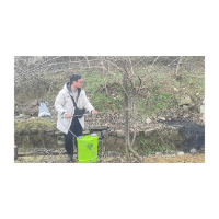 凤凰县积极开展猕猴桃溃疡病药效防治试验