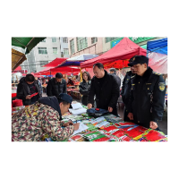 凤凰县农业农村局开展春季种子市场监督巡查工作