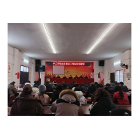 凤凰县千工坪镇召开节后收心大会    凝心聚力启新程