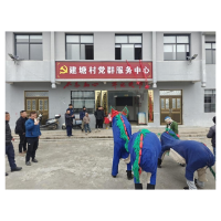 凤凰县千工坪镇：锣鼓喧天迎新春  舞狮献瑞庆佳节