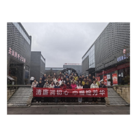 凤凰县筸子坪镇开展“清廉润初心   巾帼绽芳华”三八妇女节活动