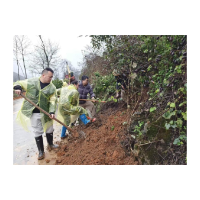 凤凰县千工坪镇：党政同责抓生态    全域整治助振兴