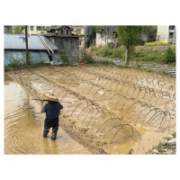 凤凰县两林乡：村民巧手覆膜栽水稻  科技助力春耕提质效