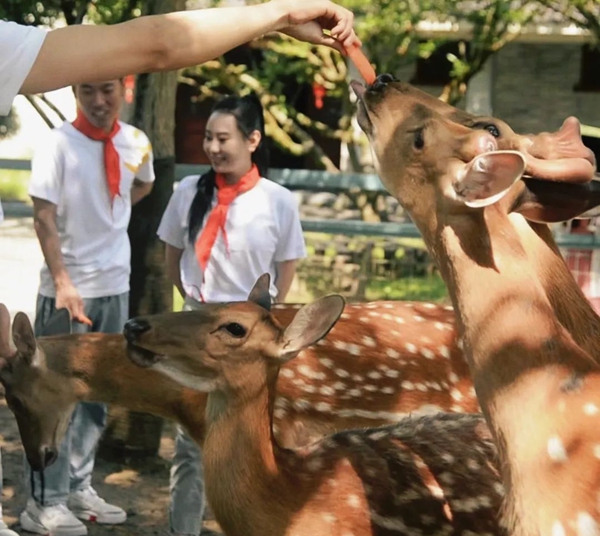 图片6.jpg