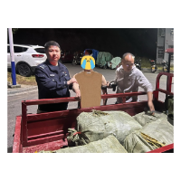 黄柏树皮不翼而飞   凤凰警方抓获“剥皮大盗”