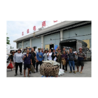 凤凰县吉信镇：青年主播为民赠送猪苗   “造血”帮扶激发乡村振兴新活力