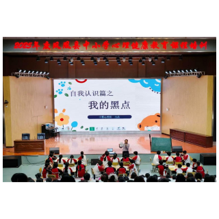 凤凰：2025年心理健康教育课程培训活动 圆满举行