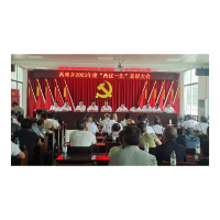 坚守初心担使命，踔厉奋发启新程——两林乡召开庆祝中国共产党成立104周年暨“两优一先”表彰大会