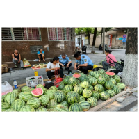 凤凰市监：计量护航助农增收   筑牢瓜果销售公平防线