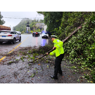 凤凰公安：暴雨致树木倒塌电线拦路 民警紧急处置保畅通