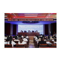 凤凰县开展“国培计划（2025）”农村小学语文骨干教师能力提升培训
