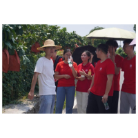 中南大学“星火计划”湘西凤凰支队到凤凰县廖家桥镇菖蒲塘村开展调研