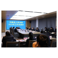 凤凰法院召开2026年工作务虚会