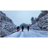 凤凰县两林乡：迎寒而上，破冰护航暖民心