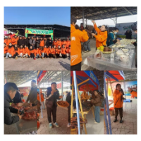 凤凰“供销大集”网上年货节当日成交90万元