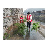 沱江镇沙湾社区开展节前沿河环境整治工作