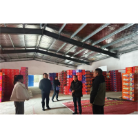 凤凰县落潮井镇开展节前安全大检查   筑牢春节安全防线