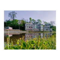 新春走基层丨忍务村以党建之笔书写美丽乡村“蝶变记”