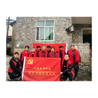 青春身影暖乡土：一支青年志愿服务队的暖心实践