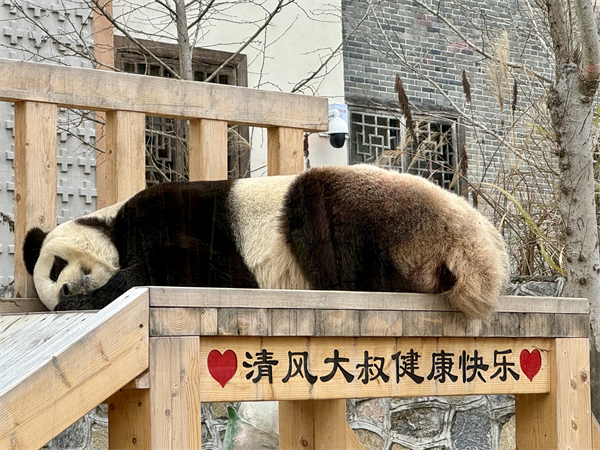 微信图片_20250214095130.jpg