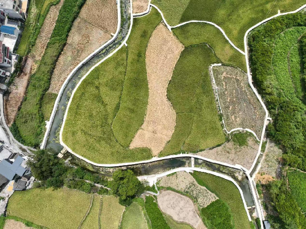 图片11.png 图片11.png