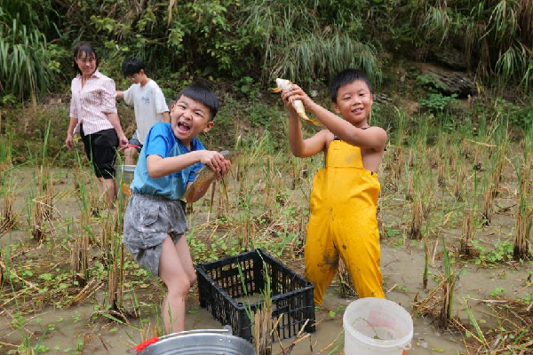 图片9.png 图片9.png