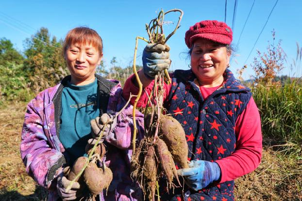 图片7.png 图片7.png