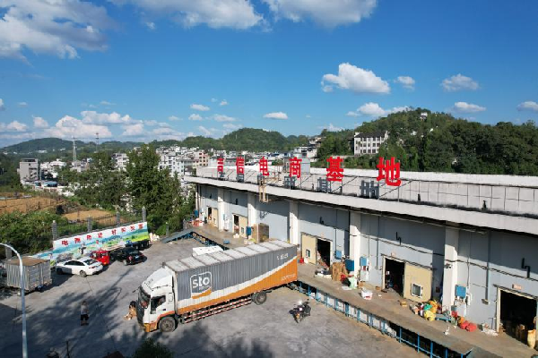 图片10.png 图片10.png