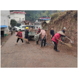 党建引领聚合力 治理赋能焕新颜——杜田村深入  贯彻党的二十届四中全会精神，开展四公里道路环境 综合整治纪实