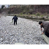 凤凰县筸子坪镇：干群合力清垃圾 环境治理显成效